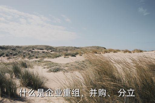 什么是企業(yè)重組、并購、 分立