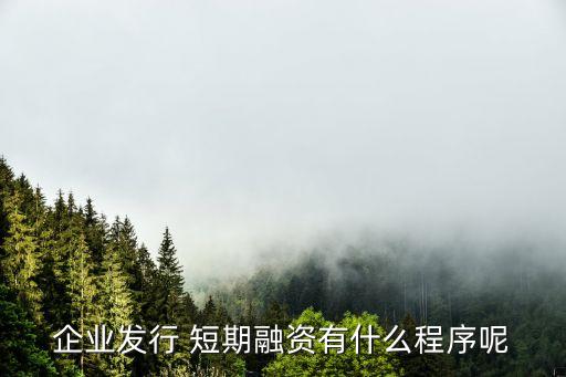 魯商集團(tuán)短期融資券分析報告