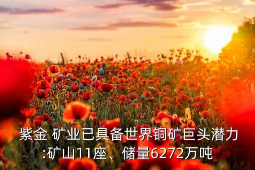  紫金 礦業(yè)已具備世界銅礦巨頭潛力:礦山11座、儲(chǔ)量6272萬噸