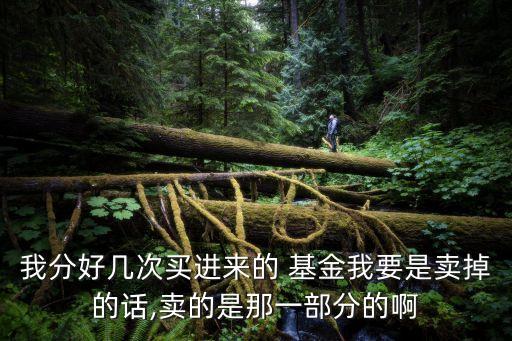 我分好幾次買進(jìn)來的 基金我要是賣掉的話,賣的是那一部分的啊