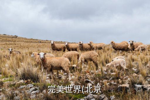 互動(dòng)娛樂公司,靈犀互動(dòng)娛樂公司