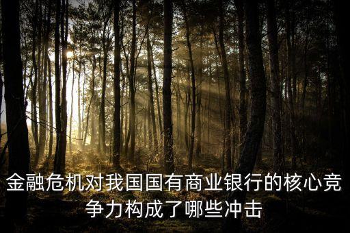 金融危機(jī)對(duì)我國國有商業(yè)銀行的核心競(jìng)爭(zhēng)力構(gòu)成了哪些沖擊