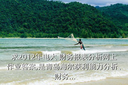 求2012年電大 財(cái)務(wù)報(bào)表分析網(wǎng)上作業(yè)答案,是青島海爾獲利能力分析、 財(cái)務(wù)...