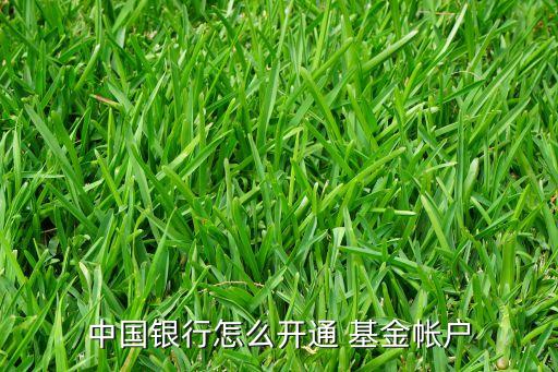 基金如何開(kāi)戶,基金在手機(jī)上怎么開(kāi)戶