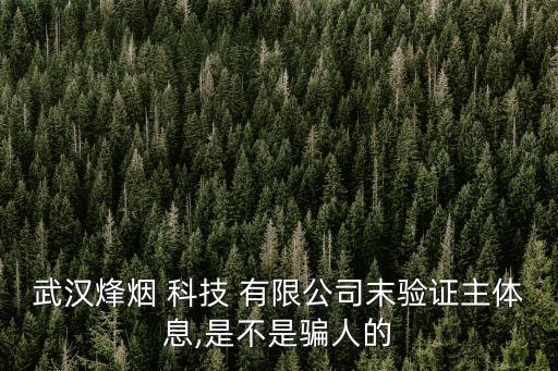 武漢烽煙 科技 有限公司末驗(yàn)證主體息,是不是騙人的