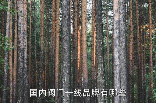 國內閥門一線品牌有哪些
