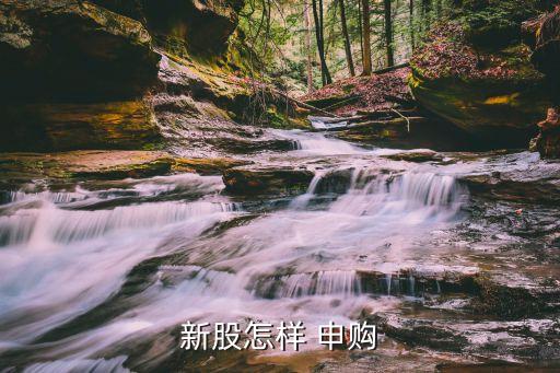 新股怎樣 申購