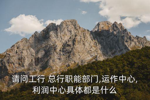 請問工行 總行職能部門,運(yùn)作中心,利潤中心具體都是什么