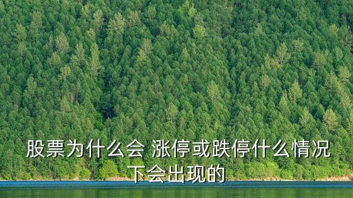  股票為什么會 漲?；虻Ｊ裁辞闆r下會出現(xiàn)的