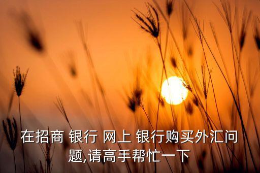 在招商 銀行 網(wǎng)上 銀行購買外匯問題,請高手幫忙一下