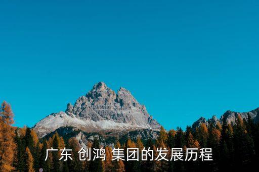 廣東 創(chuàng)鴻 集團的發(fā)展歷程