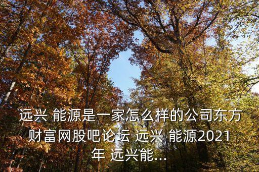  遠(yuǎn)興 能源是一家怎么樣的公司東方財富網(wǎng)股吧論壇 遠(yuǎn)興 能源2021年 遠(yuǎn)興能...