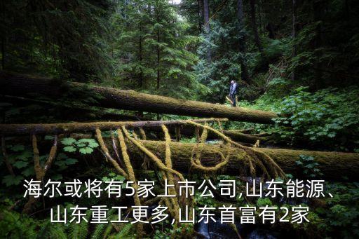 海爾或?qū)⒂?家上市公司,山東能源、山東重工更多,山東首富有2家