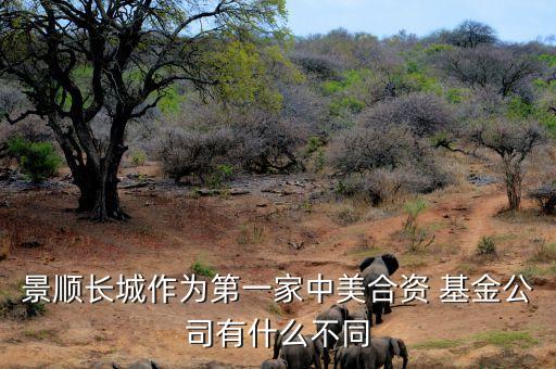 景順泛歐洲基金,景順長(zhǎng)城基金排名多少