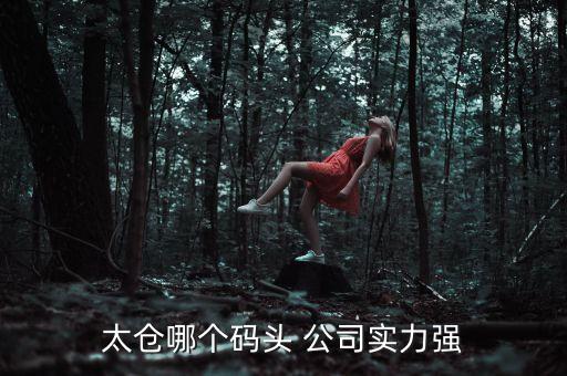 太倉(cāng)哪個(gè)碼頭 公司實(shí)力強(qiáng)