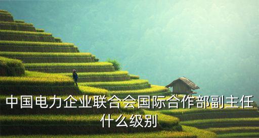 中國電力企業(yè)聯(lián)合會(huì)國際合作部副主任什么級(jí)別