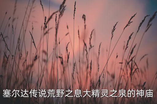 塞爾達(dá)傳說荒野之息大精靈之泉的神廟