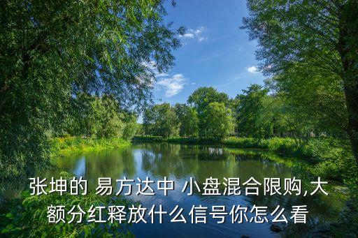 易方達(dá)中小盤(pán)基金