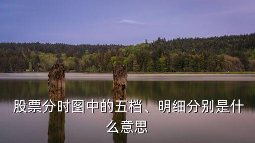  股票分時圖中的五檔、明細分別是什么意思