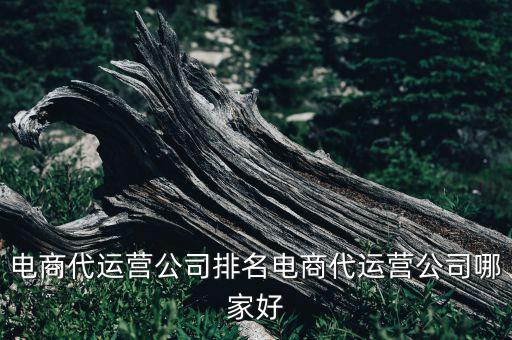 電商代運(yùn)營公司排名電商代運(yùn)營公司哪家好