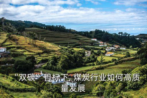 “雙碳”目標下, 煤炭行業(yè)如何高質量發(fā)展