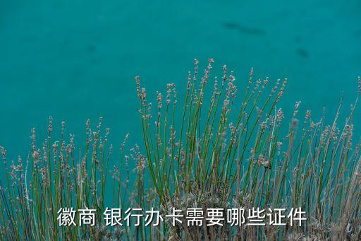 上海徽商銀行網(wǎng)點(diǎn),徽商銀行網(wǎng)點(diǎn)查詢