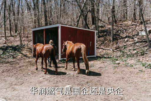  華潤(rùn)燃?xì)馐菄筮€是央企