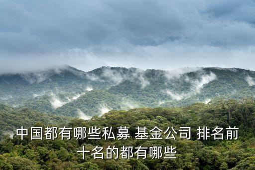 嘉實(shí)基金排名,中國十大基金公司排名