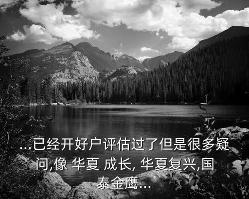 ...已經(jīng)開(kāi)好戶評(píng)估過(guò)了但是很多疑問(wèn),像 華夏 成長(zhǎng), 華夏復(fù)興,國(guó)泰金鷹...