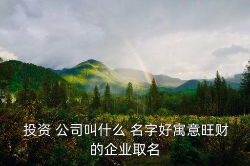  投資 公司叫什么 名字好寓意旺財?shù)钠髽I(yè)取名