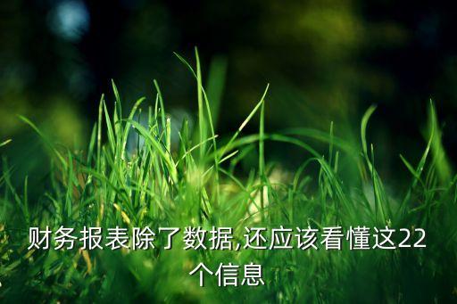 財務(wù)報表除了數(shù)據(jù),還應(yīng)該看懂這22個信息