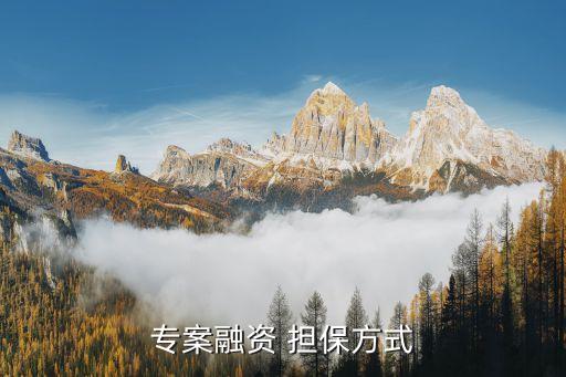 擔保公司組織架構(gòu)