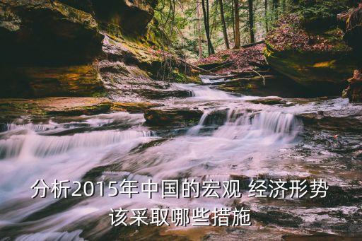 分析2015年中國(guó)的宏觀 經(jīng)濟(jì)形勢(shì)該采取哪些措施