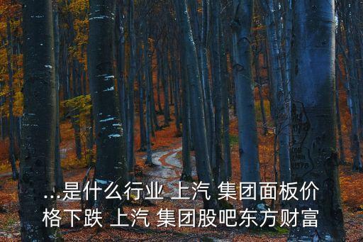 ...是什么行業(yè) 上汽 集團(tuán)面板價格下跌 上汽 集團(tuán)股吧東方財富