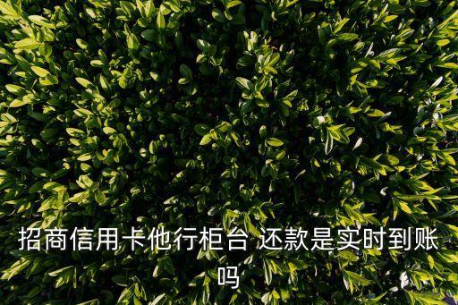 招商信用卡他行柜臺 還款是實時到賬嗎