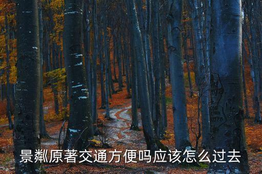 景粼原著交通方便嗎應(yīng)該怎么過(guò)去