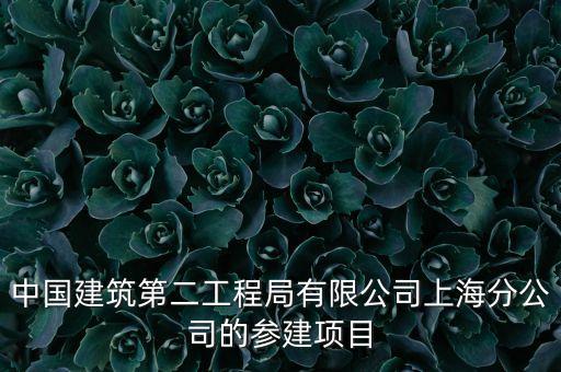 中國(guó)建筑第二工程局有限公司上海分公司的參建項(xiàng)目