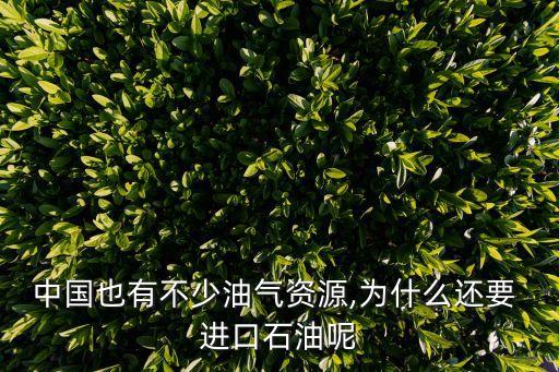 中國也有不少油氣資源,為什么還要 進口石油呢