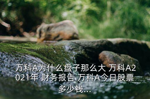  萬(wàn)科A為什么盤(pán)子那么大 萬(wàn)科A2021年 財(cái)務(wù)報(bào)告 萬(wàn)科A今日股票多少錢(qián)...