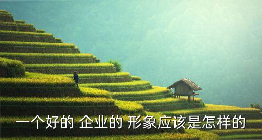 一個好的 企業(yè)的 形象應(yīng)該是怎樣的