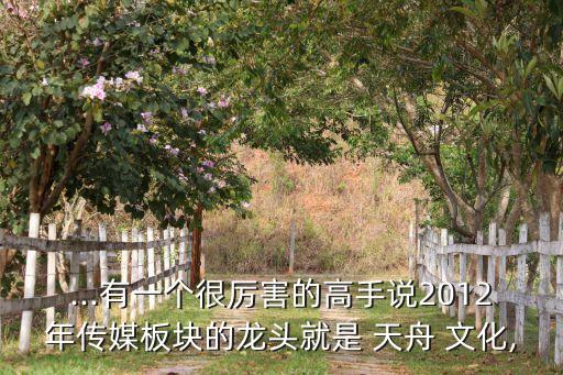 ...有一個(gè)很厲害的高手說(shuō)2012年傳媒板塊的龍頭就是 天舟 文化,