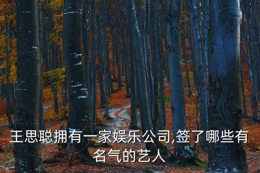 王思聰擁有一家娛樂(lè)公司,簽了哪些有名氣的藝人