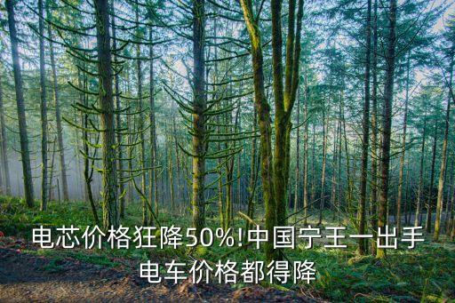 電芯價(jià)格狂降50%!中國(guó)寧王一出手電車價(jià)格都得降