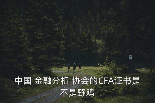 中國 金融分析 協(xié)會(huì)的CFA證書是不是野雞