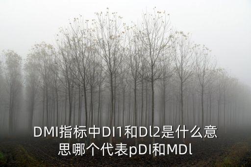DMI指標(biāo)中DI1和Dl2是什么意思哪個代表pDI和MDl