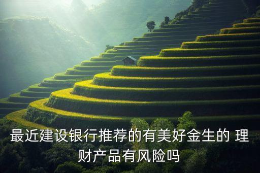 最近建設(shè)銀行推薦的有美好金生的 理財產(chǎn)品有風(fēng)險嗎