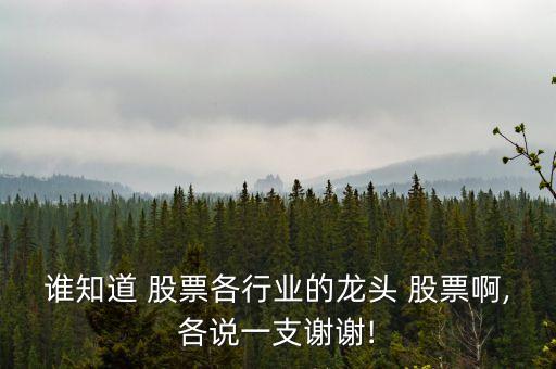 誰(shuí)知道 股票各行業(yè)的龍頭 股票啊,各說(shuō)一支謝謝!