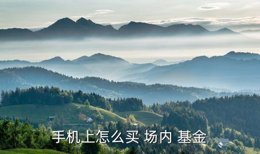 基金場(chǎng)內(nèi)交易在哪買,國泰君安場(chǎng)內(nèi)基金交易費(fèi)率