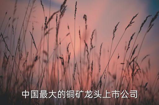 中國最大的銅礦龍頭上市公司