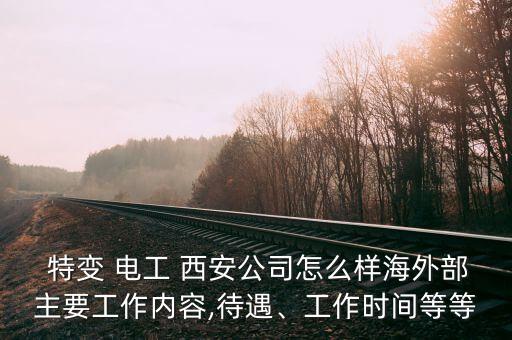  特變 電工 西安公司怎么樣海外部主要工作內(nèi)容,待遇、工作時間等等